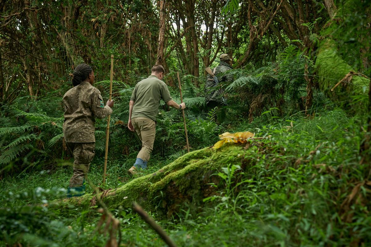 3 Days Bwindi Gorilla Trekking Tour