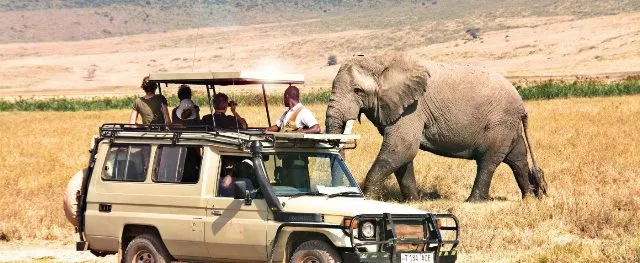 Wildlife Tours Uganda