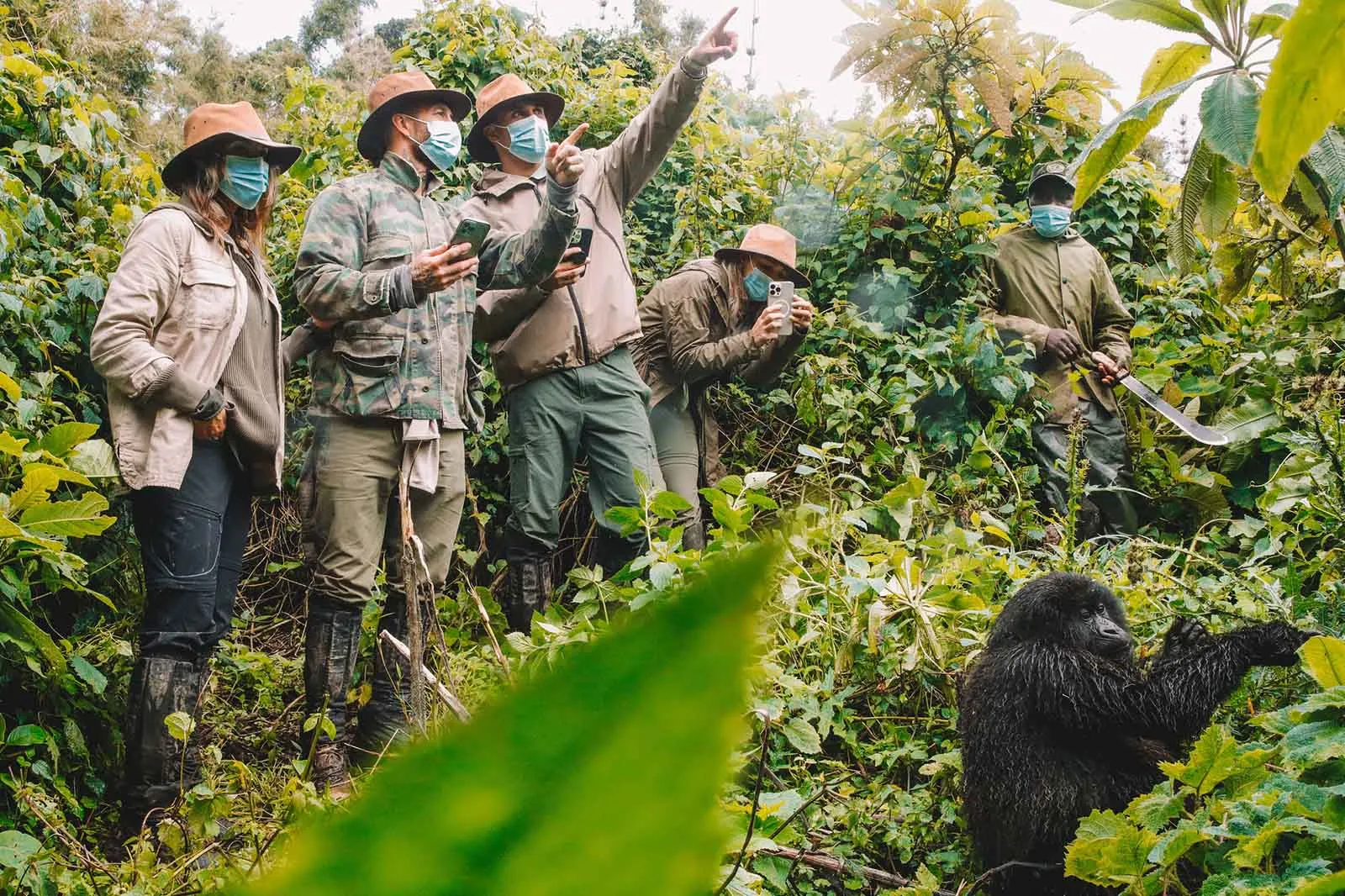 How many People per Gorilla Family