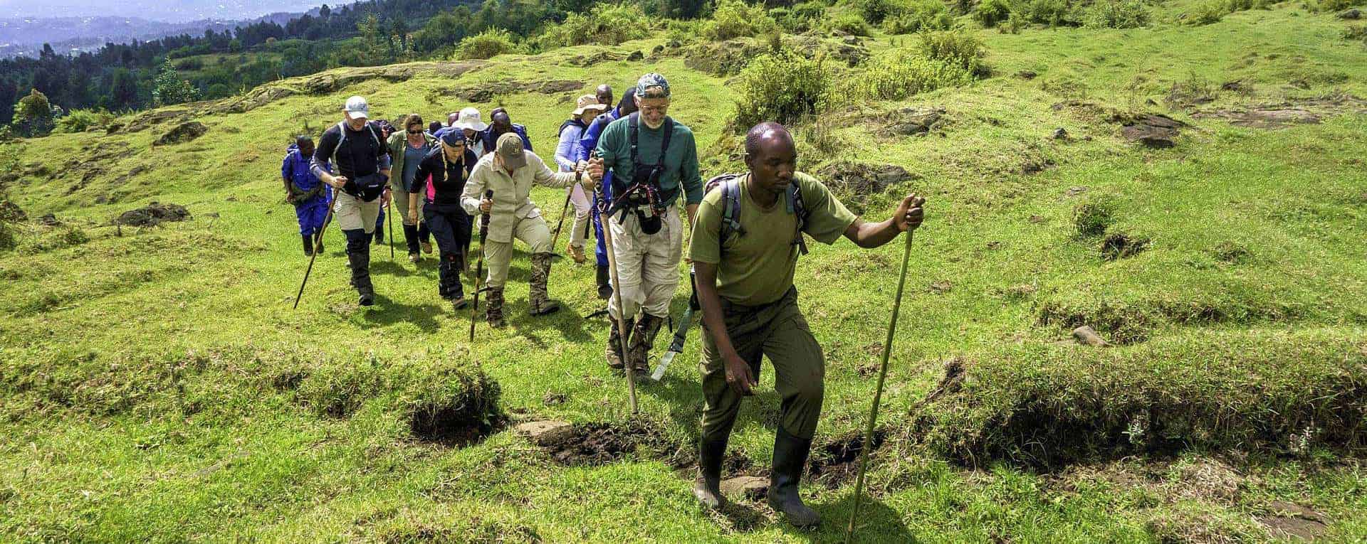 How gorilla trekking is conducted in Rwanda