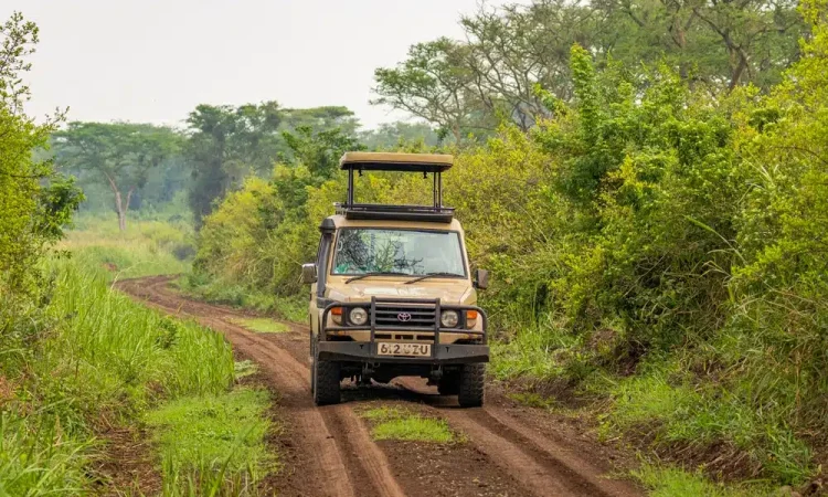 Uganda Safari Road Trip