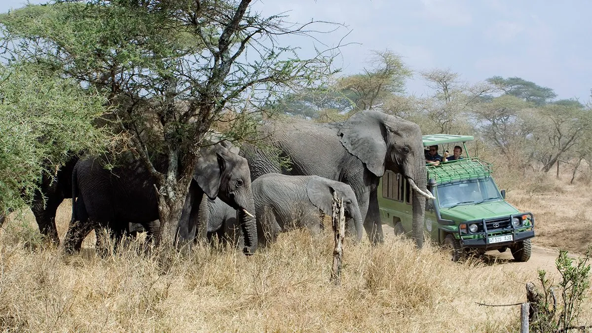 Safari Vehicle Hire with Driver in Uganda