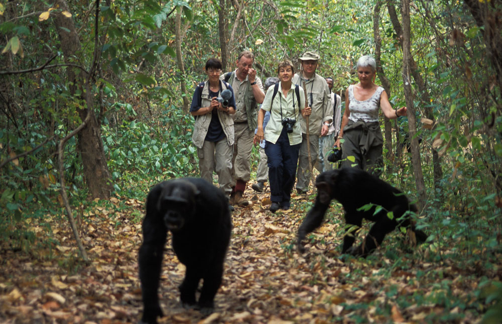5 Best Adventure Experiences to Do in Uganda
