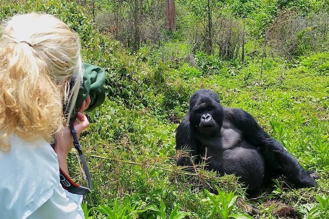 Uganda Tour Packages