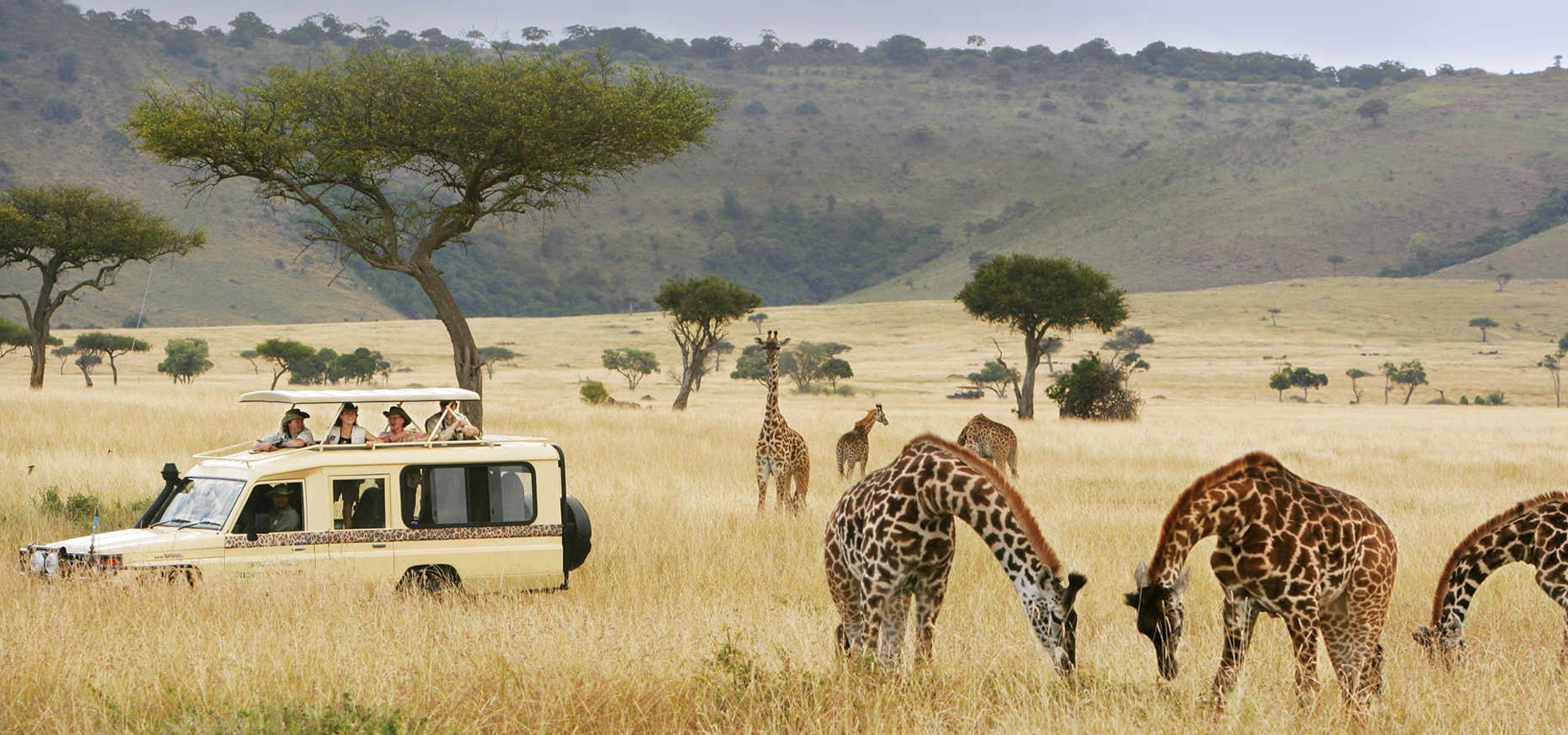 Uganda Safaris & Tours