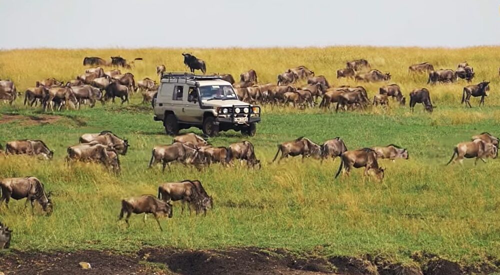 Adventure East Africa