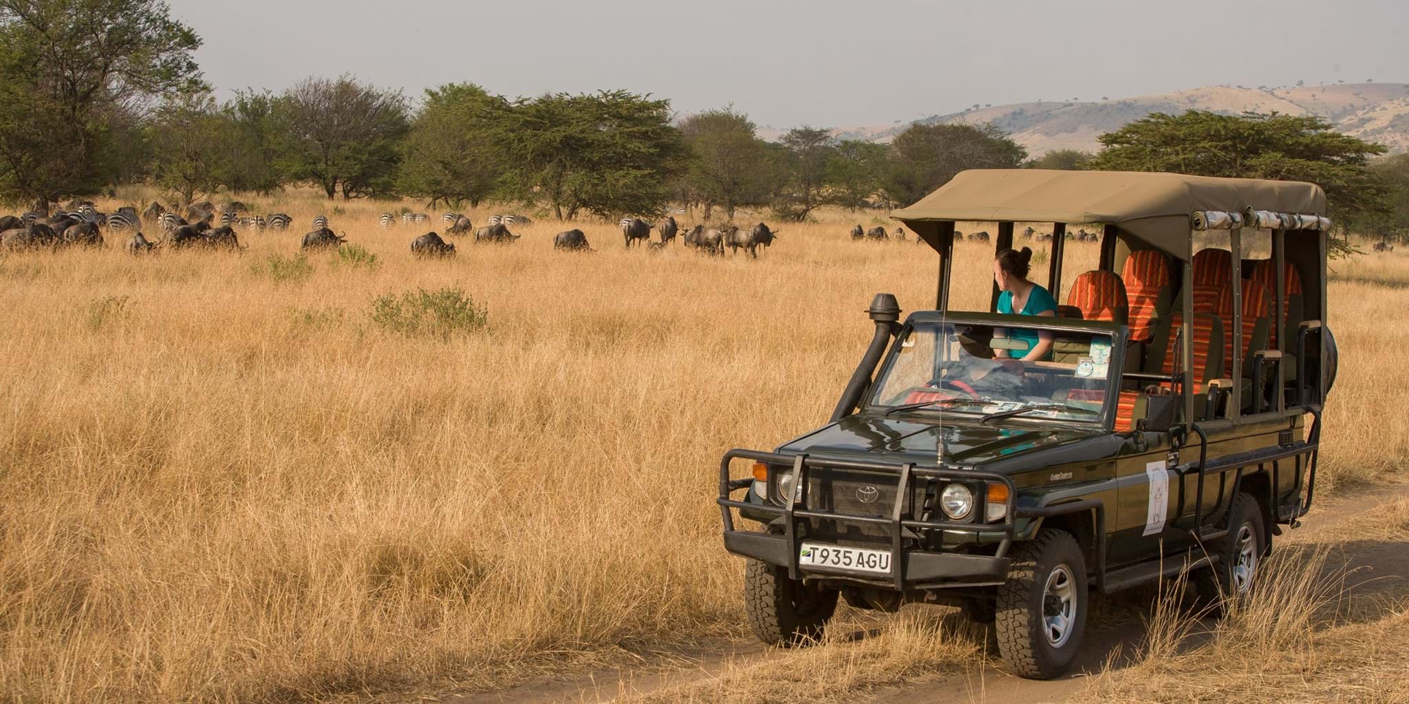 Best Game Drives in East Africa