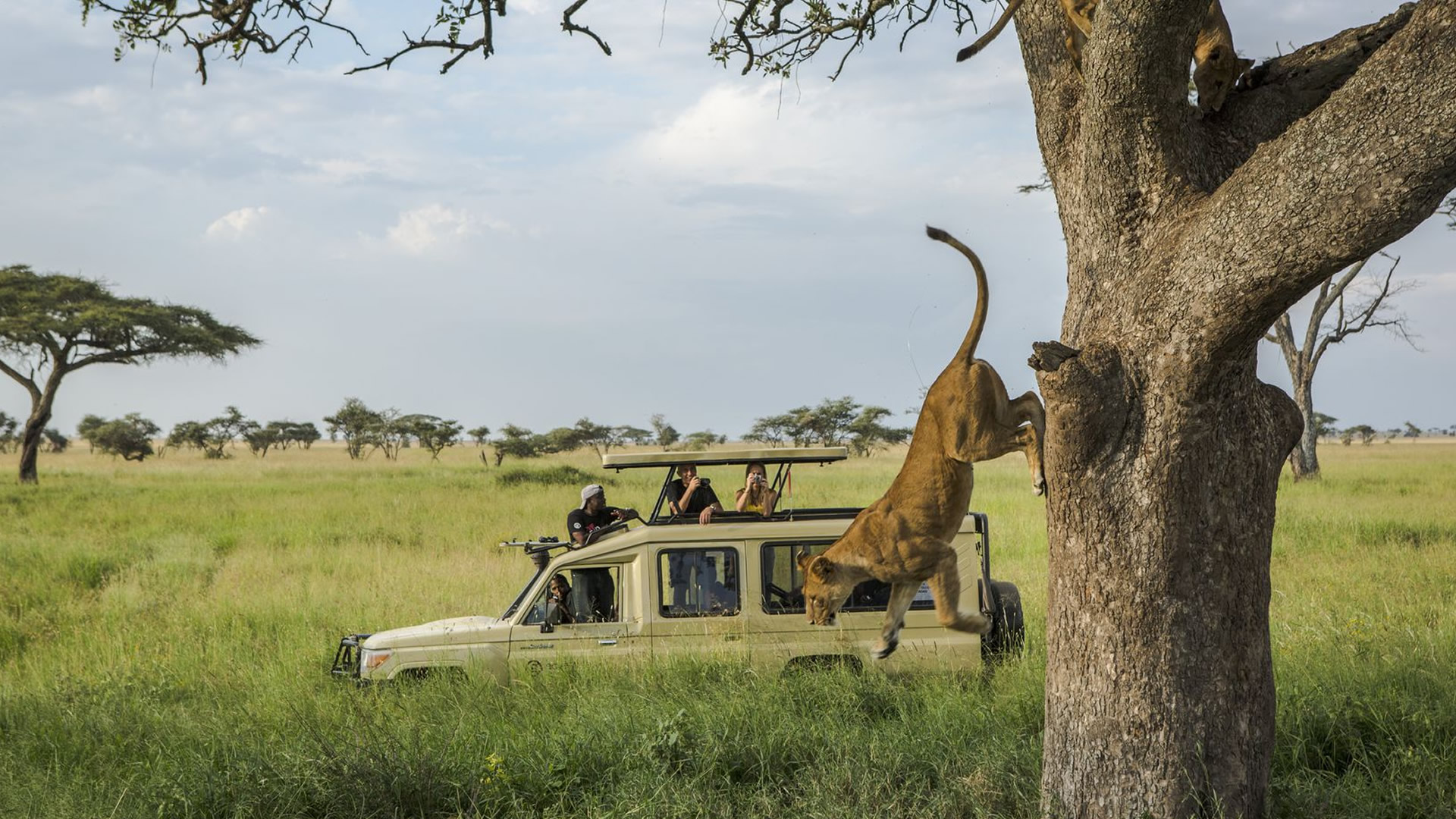 Best Time to Visit Uganda for Safari