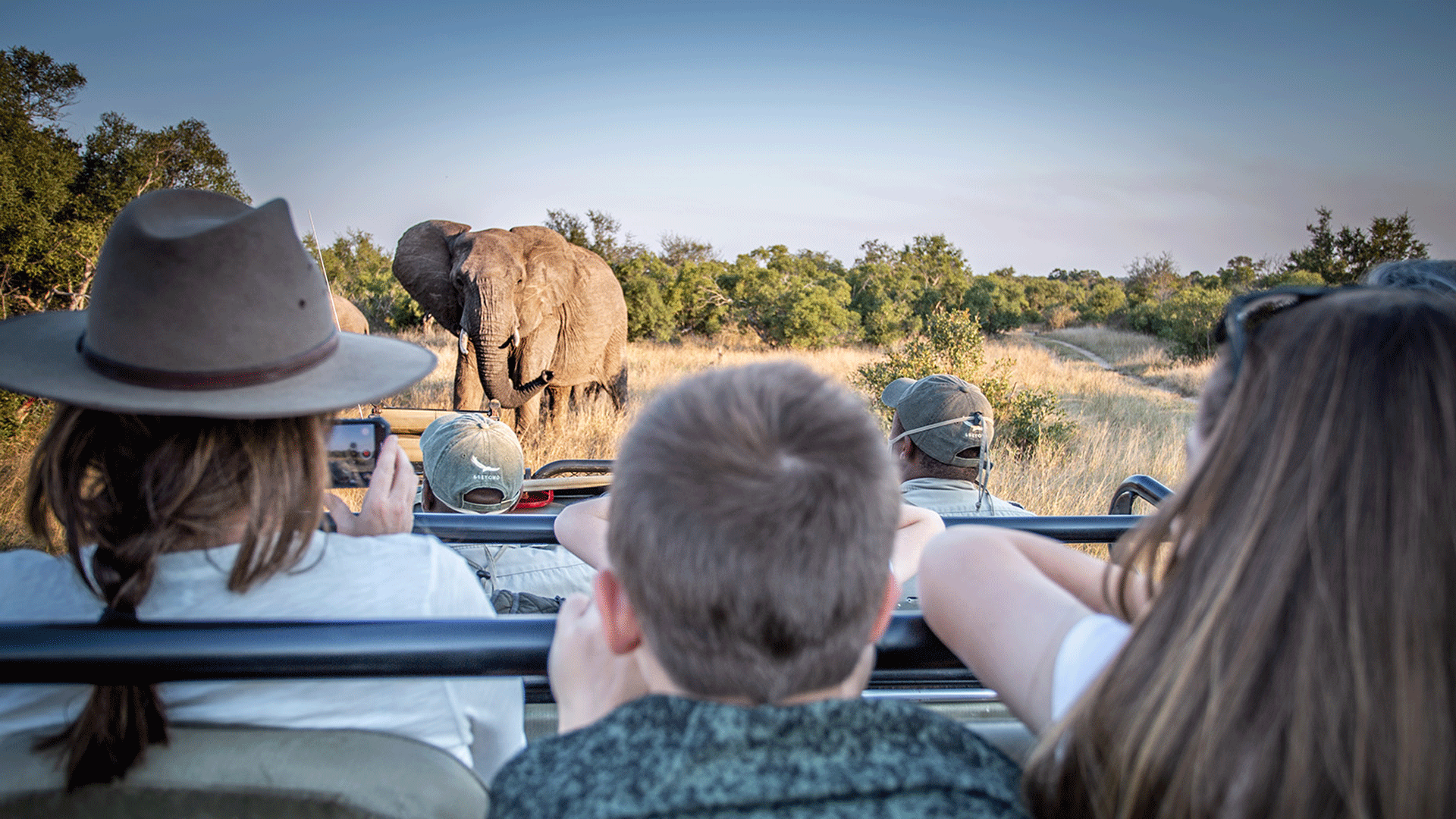 Best Time to Visit Uganda for Safari