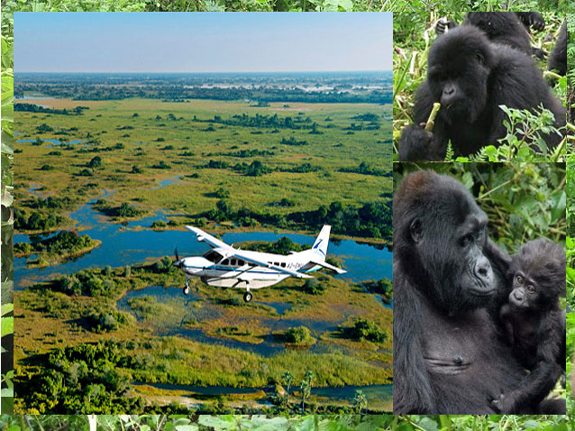 Fly-in Luxury Safaris Uganda