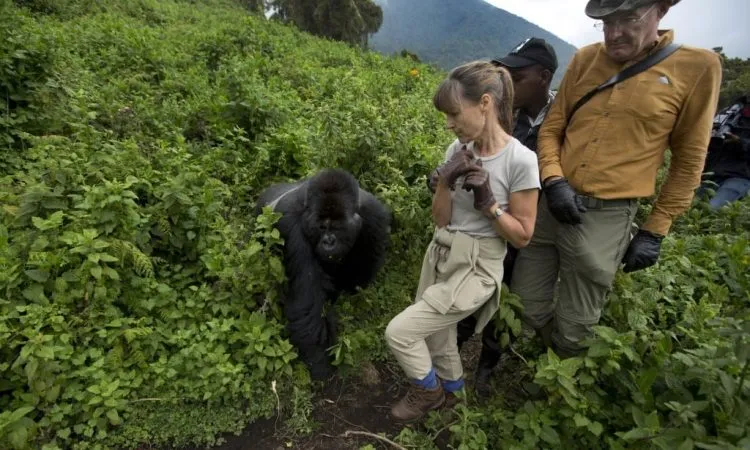 Why Book a Rwanda Gorilla Permit?