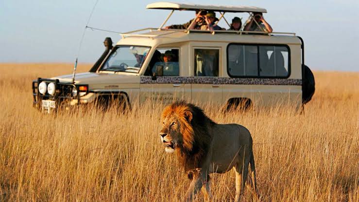 Car Rental Company in Uganda for Safaris