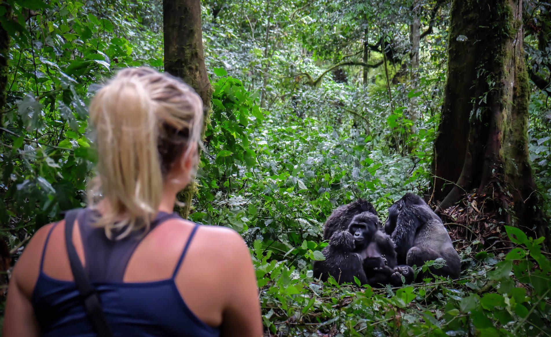 Uganda Gorilla Permit Prices (2026)