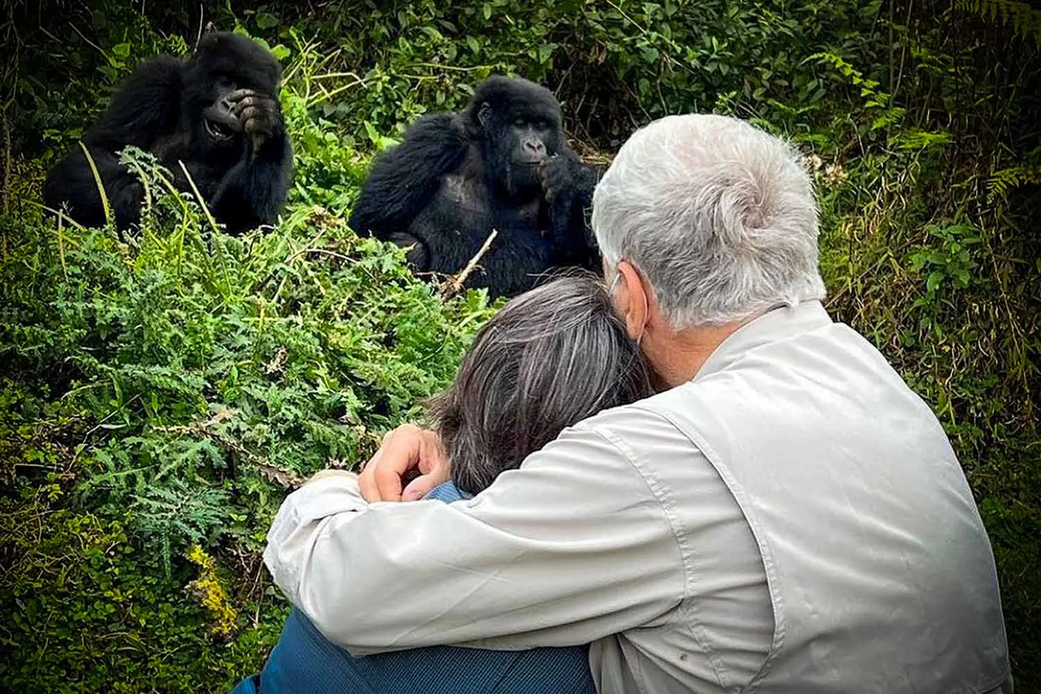What Is Luxury Gorilla Trekking?