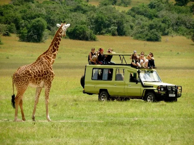 Kenya Wildlife Safaris