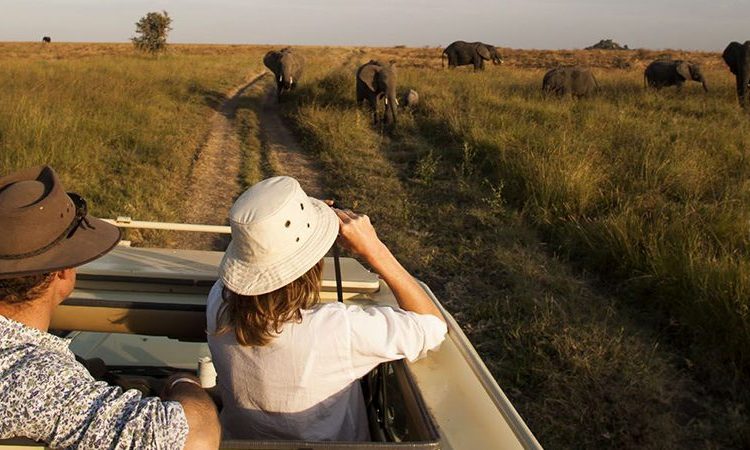 Uganda Safari Costs Explained