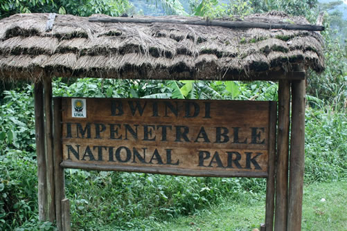 Uganda National Park Tours