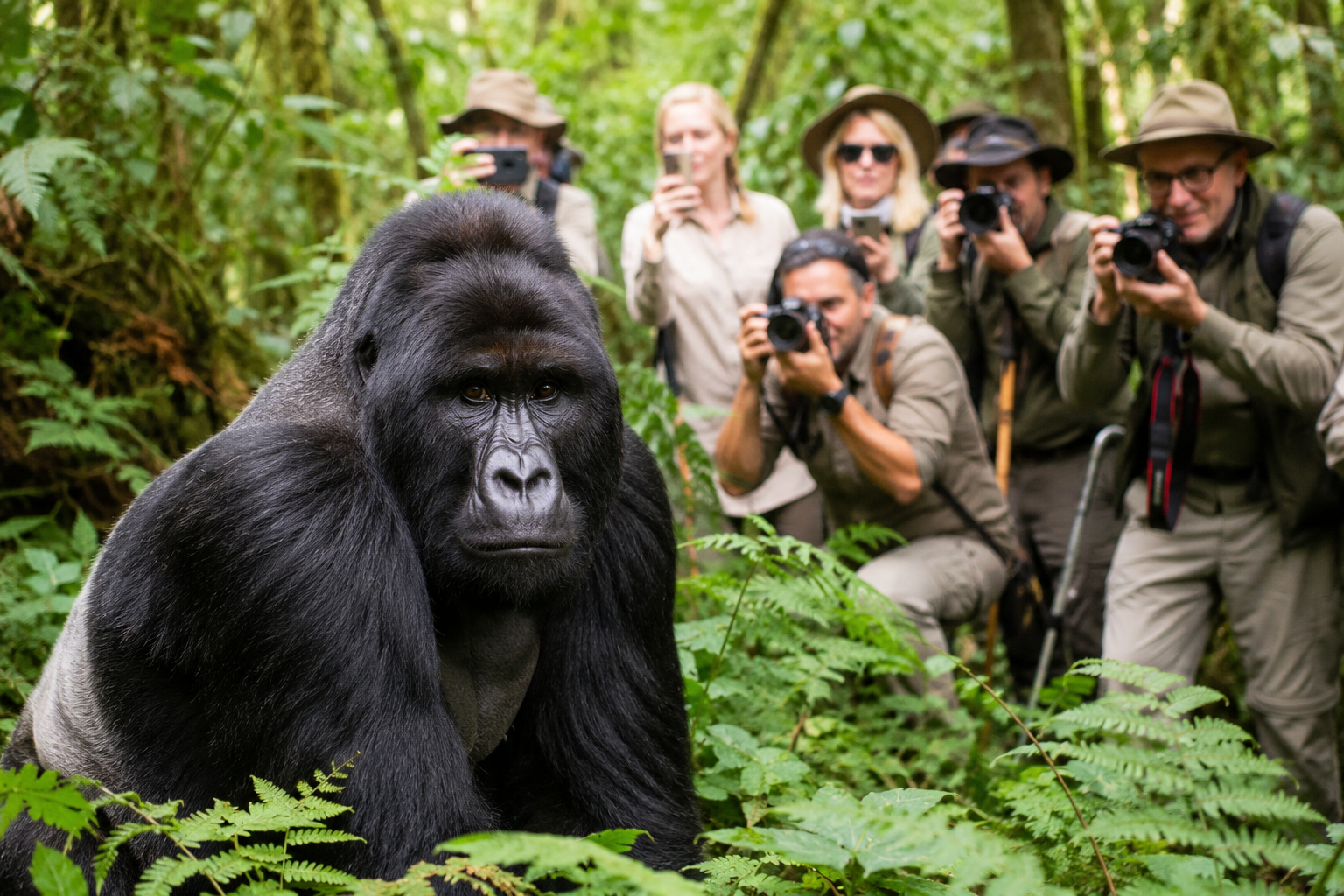 Photography Safaris Uganda